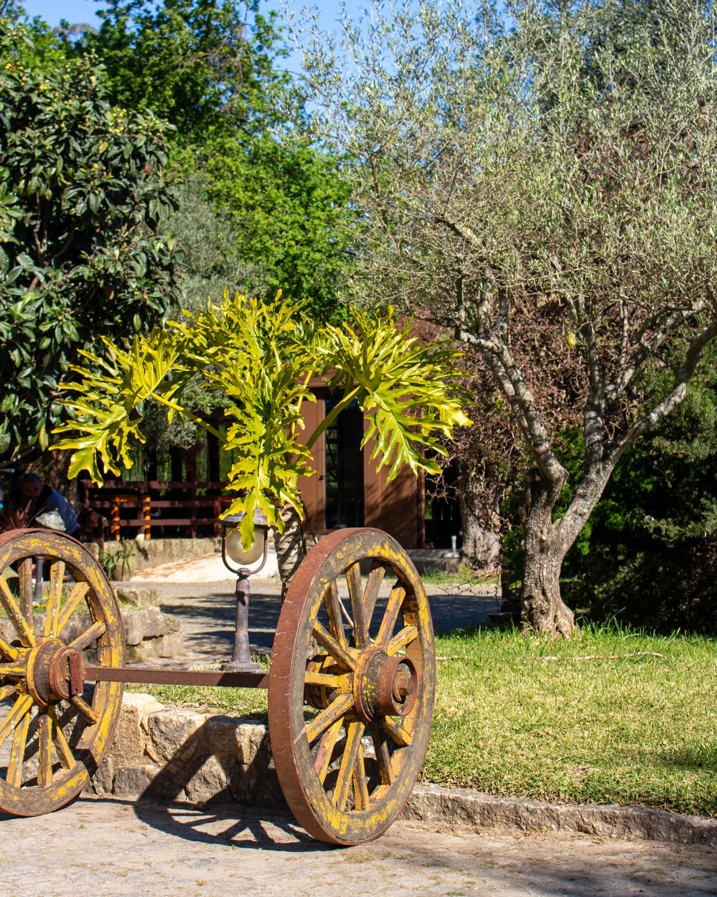 Espaço exterior da Quinta da Peneda
